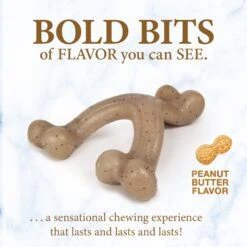 Nylabone Puppy Gourmet Style Strong Chew Wishbone Peanut Butter Dog Toy, Brown, Small/Regular -PetSafe Kong Shop 737886 PT2. AC SS1800 V1672931818