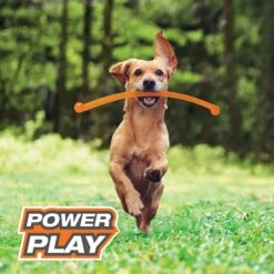 Nylabone Power Play Crazy Stick Dog Toy, Orange -PetSafe Kong Shop 737966 PT2. AC SS1800 V1672929912