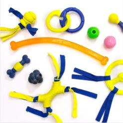 Nylabone Power Play Crazy Stick Dog Toy, Orange -PetSafe Kong Shop 737966 PT6. AC SS1800 V1672935648