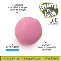 Nylabone Power Play Gum-a-Ball Dog Toy, One Size, 2 Count -PetSafe Kong Shop 737982 PT1. AC SS1800 V1672935648
