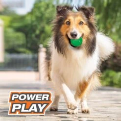 Nylabone Power Play Gum-a-Ball Dog Toy, One Size, 2 Count -PetSafe Kong Shop 737982 PT2. AC SS1800 V1672930487