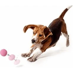 Nylabone Power Play Gum-a-Ball Dog Toy, One Size, 2 Count -PetSafe Kong Shop 737982 PT3. AC SS1800 V1672929910
