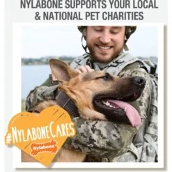 Nylabone Power Play Gum-a-Ball Dog Toy, One Size, 2 Count -PetSafe Kong Shop 737982 PT6. AC SS1800 V1672930490