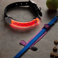 Nite Ize Nite Dawg LED Dog Collar Cover -PetSafe Kong Shop 73814 PT3. AC SS1800 V1682355468