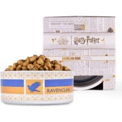 Fetch For Pets Harry Potter Ravenclaw Dog Bowl, 3.5-cups