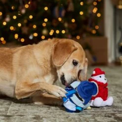 Frisco Holiday Arctic Buddies 2-in-1 Rip For Surprise Plush & Rubber Dog Toy -PetSafe Kong Shop 739718 PT3. AC SS1800 V1694812848