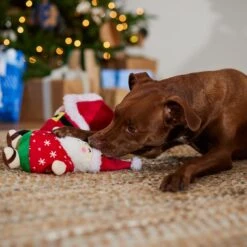 Frisco Holiday Santa On Vacation 2-in-1 Plush Squeaky Dog Toy 9 Frisco Holiday Santa On Vacation 2-in-1 Plush Squeaky Dog Toy -PetSafe Kong Shop 739894 PT3. AC SS1800 V1695045718