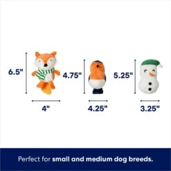 Frisco Holiday Melting Snow Globe Hide & Seek Puzzle Plush Squeaky Dog Toy -PetSafe Kong Shop 739910 PT2. AC SS1800 V1694814063