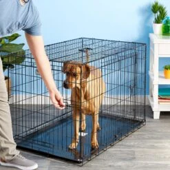 Precision Pet Products Provalu Double Door Collapsible Wire Dog Crate -PetSafe Kong Shop 74070 PT7. AC SS1800 V1496757266