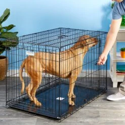 Precision Pet Products Provalu Double Door Collapsible Wire Dog Crate -PetSafe Kong Shop 74070 PT8. AC SS1800 V1496757360