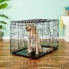 Precision Pet Products Provalu Single Door Collapsible Wire Dog Crate