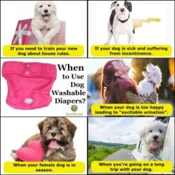 SunGrow Reusable Female Cat & Dog Diapers For Heat Cycle, 9-in To 15-in Waist, 3 Count 10 SunGrow Reusable Female Cat & Dog Diapers For Heat Cycle, 9-in To 15-in Waist, 3 Count -PetSafe Kong Shop 741558 PT4. AC SS1800 V1700156086