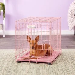 MidWest ICrate Single Door Collapsible Wire Dog Crate, Pink, 24 Inch -PetSafe Kong Shop 74290 PT5. AC SS1800 V1562173055