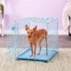 MidWest ICrate Single Door Collapsible Wire Dog Crate, Blue