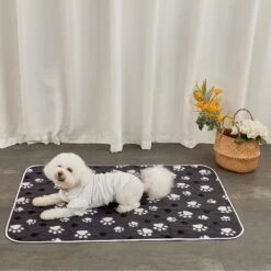 Allisandro Washable Puppy Traning Dog Potty Pads, 2 Count -PetSafe Kong Shop 743254 PT2. AC SS1800 V1671574887