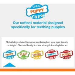 Nylabone Just For Puppies Teething Chew Ring Bone & Toy Ring Bone Twin Pack Flavor Medley & Chicken Flavor 12 Nylabone Just For Puppies Teething Chew Ring Bone & Toy Ring Bone Twin Pack Flavor Medley & Chicken Flavor -PetSafe Kong Shop 74601 PT3. AC SS1800 V1693419924