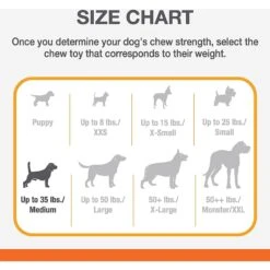 Nylabone Puppy Chew Ring Bone & Toy Twin Pack -PetSafe Kong Shop 74603 PT2. AC SS1800 V1693419201