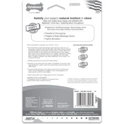 Nylabone Puppy Chew Ring Bone & Toy Twin Pack -PetSafe Kong Shop 74603 PT7. AC SS1800 V1693419201