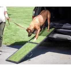Gen7Pets Natural-Step Foldable Dog Car Ramp -PetSafe Kong Shop 74832 PT3. AC SS1800 V1528318014