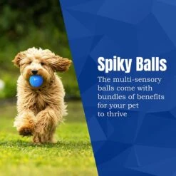 CoCoo Spiky Squeaky Dog & Ferret Rubber Ball, Dental Chew Fetch & Play Toy -PetSafe Kong Shop 748702 PT4. AC SS1800 V1684772851