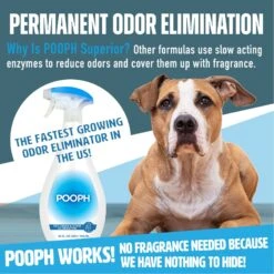 POOPH Cat & Dog Odor & Stain Eliminator -PetSafe Kong Shop 751782 PT7. AC SS1800 V1683210652
