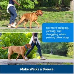 PetSafe Soft Point Martingale Dog Training Collar 10 PetSafe Soft Point Martingale Dog Training Collar -PetSafe Kong Shop 751990 PT4. AC SS1800 V1673378784