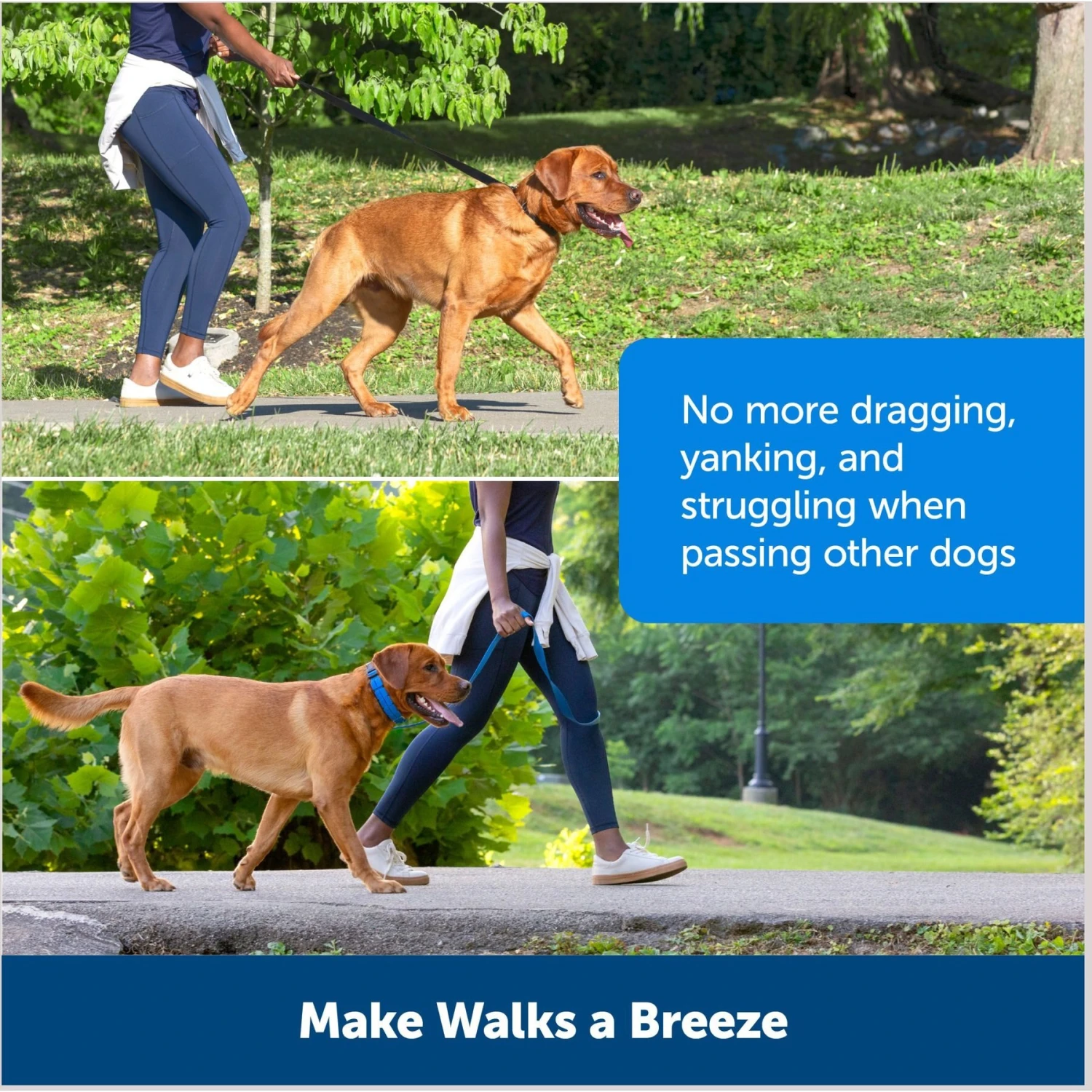 PetSafe Soft Point Martingale Dog Training Collar 4 PetSafe Soft Point Martingale Dog Training Collar - Image 4