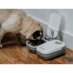 Cat Mate C200 2-Bowl Automatic Dog & Cat Feeder, 4-cup 13 Cat Mate C200 2-Bowl Automatic Dog & Cat Feeder, 4-cup -PetSafe Kong Shop 75255 PT5. AC SS1800 V1663711253
