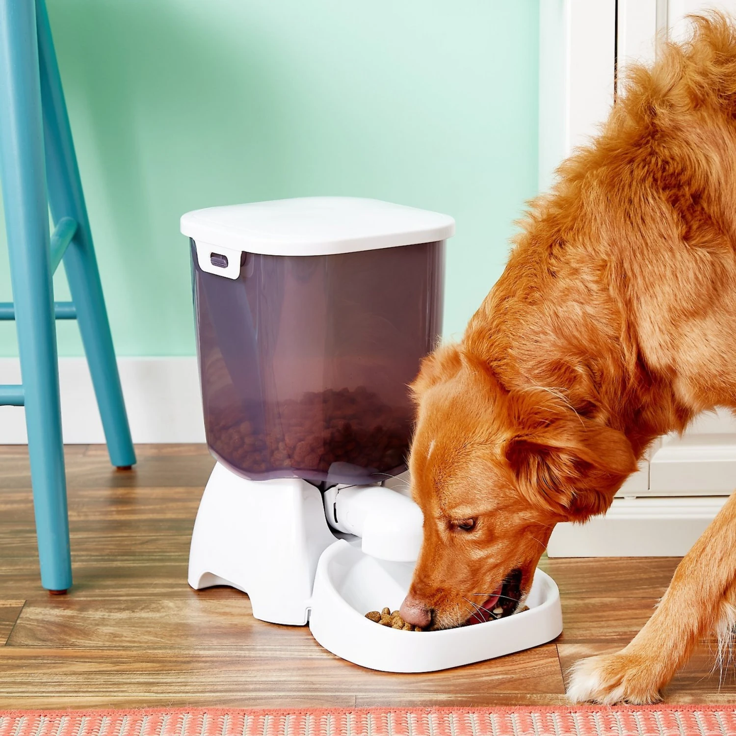 Cat Mate C3000 Automatic Dog & Cat Feeder, 26-cup 2 Cat Mate C3000 Automatic Dog & Cat Feeder, 26-cup - Image 2