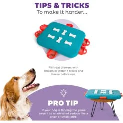 Nina Ottosson By Outward Hound Casino Puzzle Game Dog Toy 13 Nina Ottosson By Outward Hound Casino Puzzle Game Dog Toy -PetSafe Kong Shop 75370 PT4. AC SS1800 V1694286770