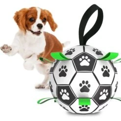 SunGrow Soccer Ball Dog & Cat Toy -PetSafe Kong Shop 753862 PT1. AC SS1800 V1677095364