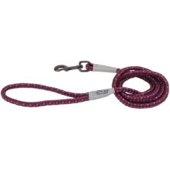 K9 Explorer Reflective Braided Rope Snap Dog Leash