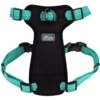 K9 Explorer Brights Reflective Front-Connect Harness