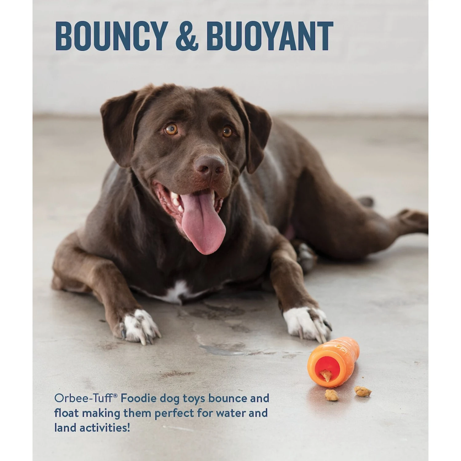 Planet Dog Orbee-Tuff Carrot Treat Dispensing Tough Dog Chew Toy 4 Planet Dog Orbee-Tuff Carrot Treat Dispensing Tough Dog Chew Toy - Image 4