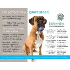 Planet Dog Orbee-Tuff Carrot Treat Dispensing Tough Dog Chew Toy 15 Planet Dog Orbee-Tuff Carrot Treat Dispensing Tough Dog Chew Toy -PetSafe Kong Shop 75452 PT8. AC SS1800 V1531514542