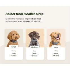 SpotOn Fence Verizon GPS Dog Fence -PetSafe Kong Shop 757574 PT4. AC SS1800 V1674769469