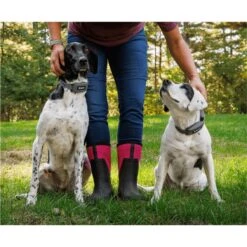 SpotOn Fence Verizon GPS Dog Fence -PetSafe Kong Shop 757574 PT7. AC SS1800 V1674769811