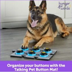 Hunger For Words Talking Pet Button Mat Dog Toy & Hunger For Words Talking Pet Starter Set Dog Toy -PetSafe Kong Shop 757726 PT8. AC SS1800 V1674051110