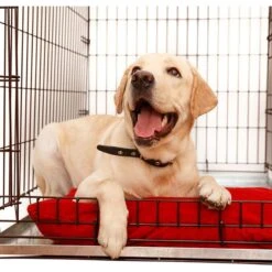 KOPEKS Heavy Duty Multipurpose Steel Replacement Pet Crate Tray 8 KOPEKS Heavy Duty Multipurpose Steel Replacement Pet Crate Tray -PetSafe Kong Shop 758502 PT2. AC SS1800 V1674494919