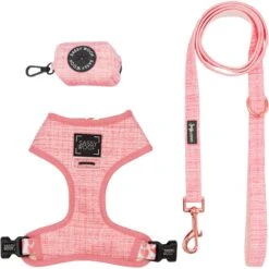 Sassy Woof Reversible Dog Harness & Leash