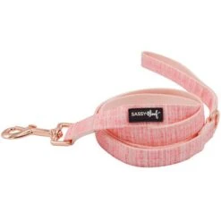 Sassy Woof Reversible Dog Harness & Leash 7 Sassy Woof Reversible Dog Harness & Leash -PetSafe Kong Shop 759294 PT2. AC SS1800 V1674674155