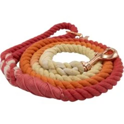 Sassy Woof Rope Dog Leash -PetSafe Kong Shop 759846 PT2. AC SS1800 V1674669975