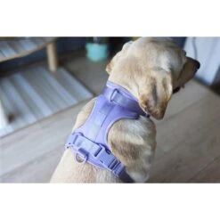 WildHound C4 No-Pull Premium Dog Harness -PetSafe Kong Shop 759942 PT2. AC SS1800 V1674491317
