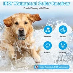 Bousnic Remote Waterproof Dog Training Collar, 3300-ft 9 Bousnic Remote Waterproof Dog Training Collar, 3300-ft -PetSafe Kong Shop 762574 PT3. AC SS1800 V1675879990