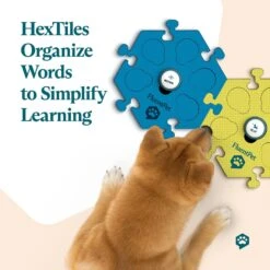 FluentPet Tester Kit Learning Cat & Dog Toy, Assorted -PetSafe Kong Shop 762734 PT4. AC SS1800 V1682537195