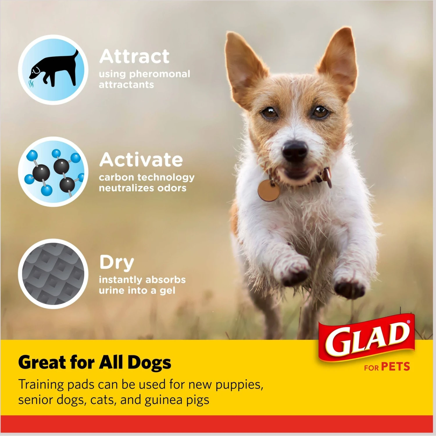 Glad For Pets Carbon Activated Training Dog Potty Pads, Small 6 Glad For Pets Carbon Activated Training Dog Potty Pads, Small - Image 6