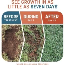 Pennington Smart Patch Bermudagrass Mix Dog Lawn-Treatment & Grass Saver -PetSafe Kong Shop 763358 PT2. AC SS1800 V1674757888