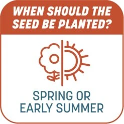 Pennington Smart Patch Bermudagrass Mix Dog Lawn-Treatment & Grass Saver -PetSafe Kong Shop 763358 PT7. AC SS1800 V1674757941