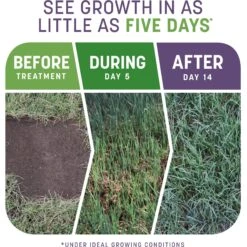 Pennington Smart Patch Dense Shade Mix Dog Lawn-Treatment & Grass Saver -PetSafe Kong Shop 763382 PT2. AC SS1800 V1674769875