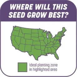 Pennington Smart Patch Dense Shade Mix Dog Lawn-Treatment & Grass Saver -PetSafe Kong Shop 763382 PT6. AC SS1800 V1674745042